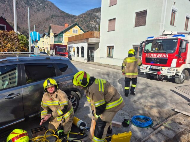 WhatsApp Image 2025-11-12 at 20.31.52