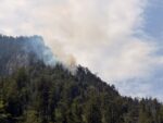 Waldbrand im Bereich Arikogel – 30.06.2026